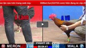 Trận 28 CPC2 07/03/2025 - Anh Lành Mang Hàng Hiệu Qua C2 Đưa Anh Em Vào Bờ